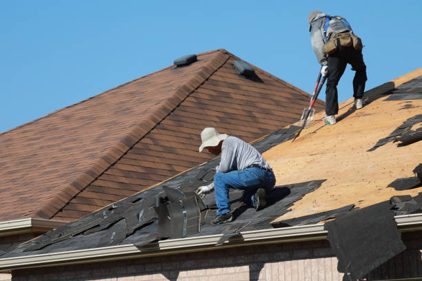 Steel Roofing in Waldo, AR
