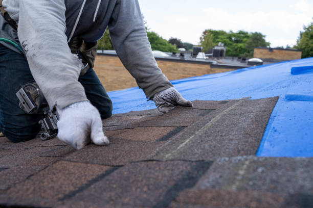 Professional  Roofing repair and installation in Waldo, AR