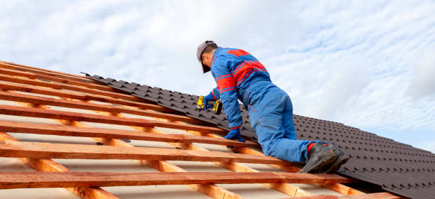 Best Roof Coating and Sealing  in Waldo, AR